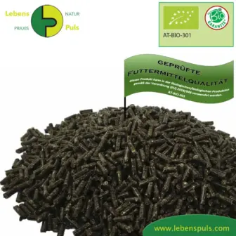 Ergänzungsfuttermittel Natürlich Pferd SOLO Muskel Fit Mineralien Spurenelemente